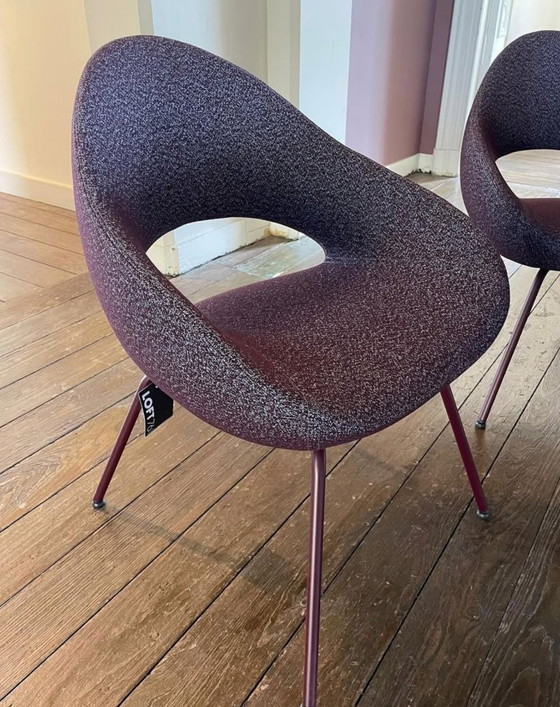 Image 1 of Set di 4 sedie da pranzo 'Shark' di Artifort - Modello da esposizione