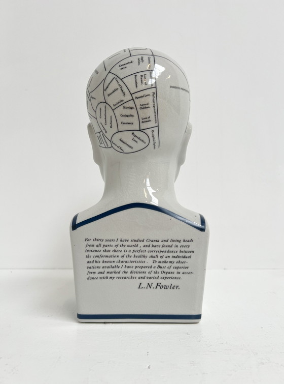 Image 1 of Testa frenologica in ceramica alta 30 cm, anni '90
