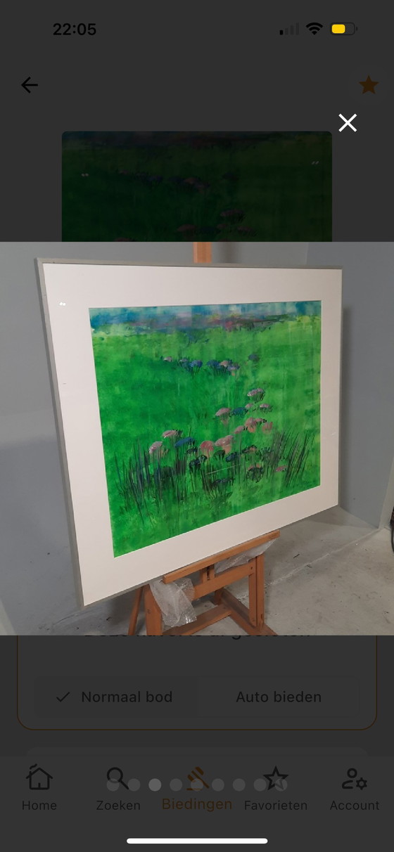 Image 1 of Maya Wildevuur - aquarelle - 91x110 cm - Champ de fleurs