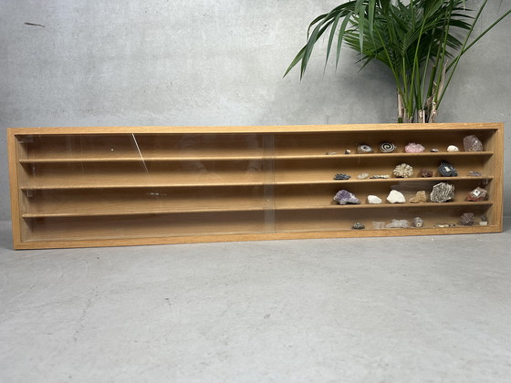 Image 1 of XL wandvitrine voor verzamelingen - eik