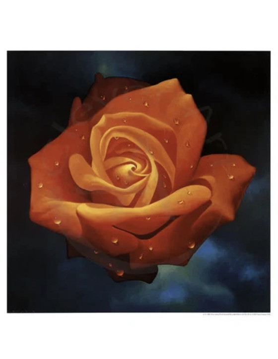 Image 1 of “Orange Rose”.

Signed in the Plate.

Beautiful Colors!