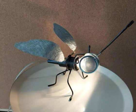 Image 1 of 1x Oligo Mademoiselle Filou