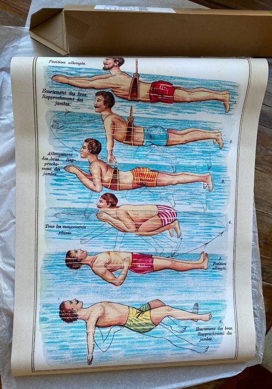 Image 1 of Onderricht in buik- en rugslagzwemmen - 1899 - Affiche