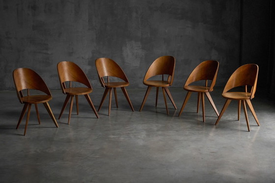 Image 1 of Mid-Century Plywood Dining Chairs, Italy, 1950s