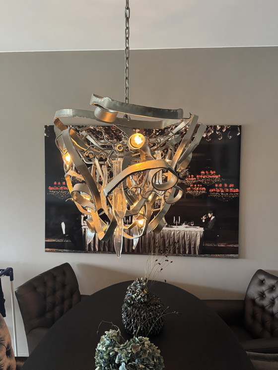 Image 1 of Brandt und Van Egmond Delphinium 120