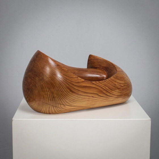 Image 1 of Flying Solo, Organic Sculptural Form by Ineke van Zuuren, 1970s