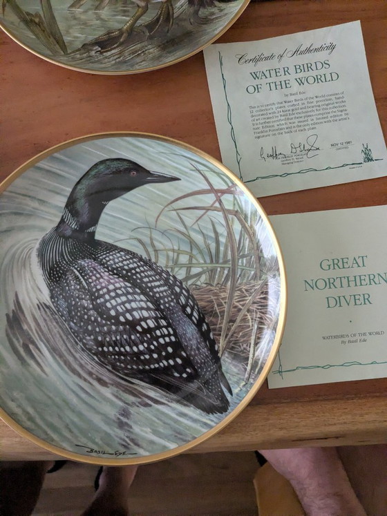 Image 1 of Basil Ede Oiseaux d'eau du monde, ensemble de 12 pièces avec système de suspension