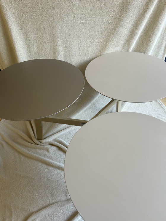 Image 1 of Leolux Ninfea