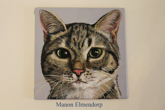 Image 1 of Uniek Handgeschilderd Schilderijtje incl Ezeltje Kat 