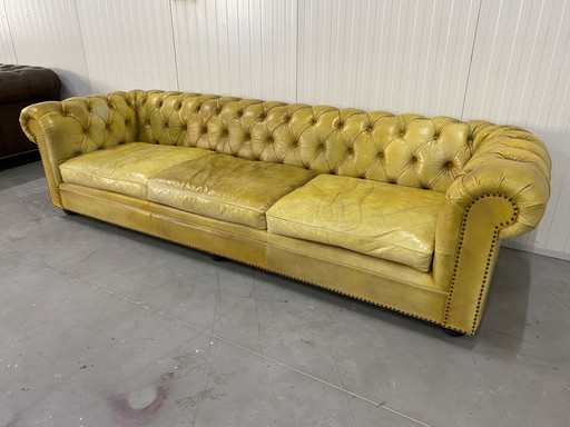 Magnifique canapé Chesterfield anglais 4 places, jaune lavé à la main