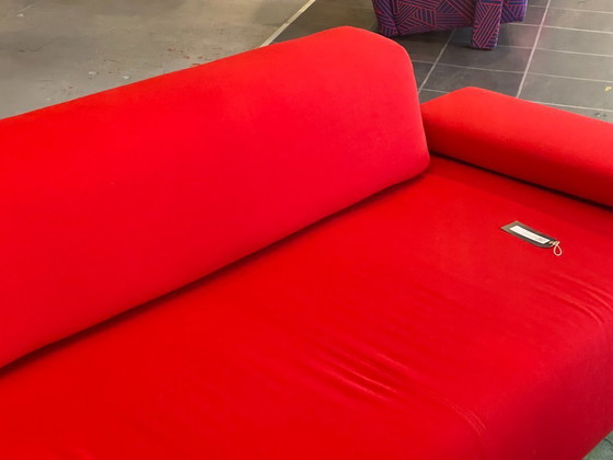 Image 1 of Moroso Lowland