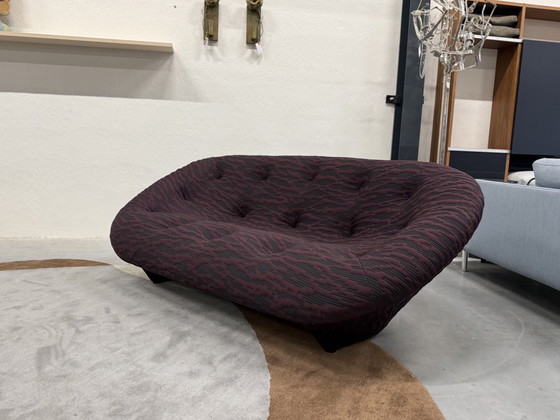 Image 1 of Línea Roset Ploum 3 Zits Banco Berenjena 204