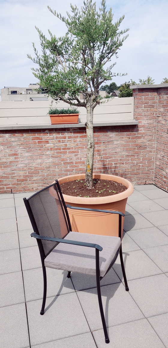 Ensemble de jardin pour balcon ou petit jardin. – Ensembles de jardin, Aluminium (photo 8 of 10)