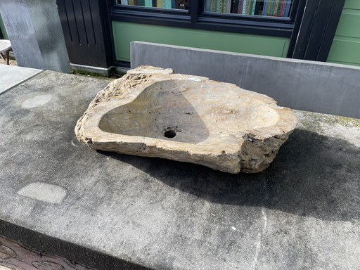 Unieke badkamer waskom madera petrificada. 