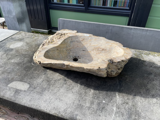 Image 1 of Unieke badkamer waskom petrified wood. 