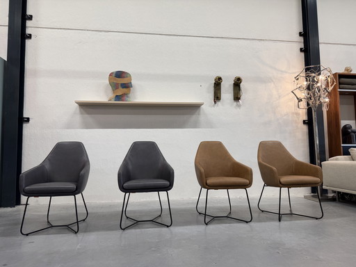 4 Modell Montis Lazy Vico Esszimmerstühle Leder anzeigen