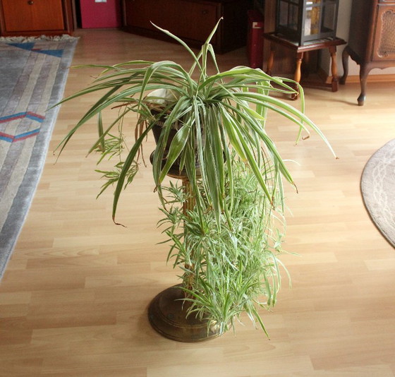 Image 1 of Colonna di fiori alta Sgabello di fiori