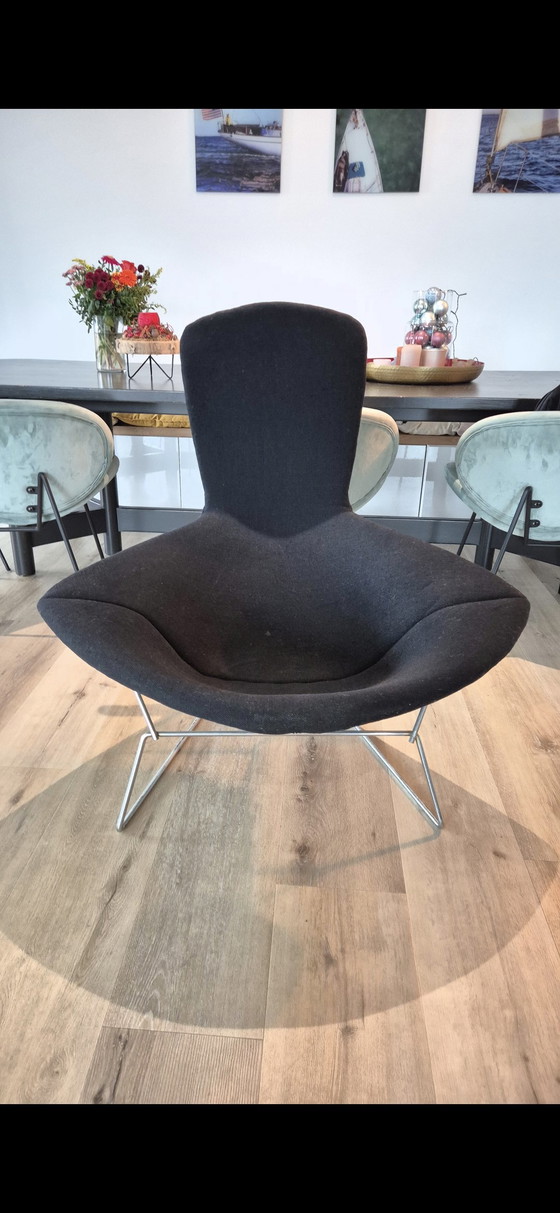 Image 1 of Bertoia Bird Chair original