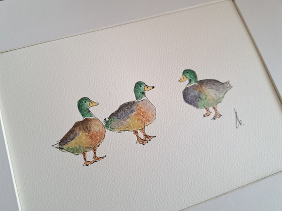 Image 1 of Aquarel schilderij drie eenden | Origineel inclusief lijst