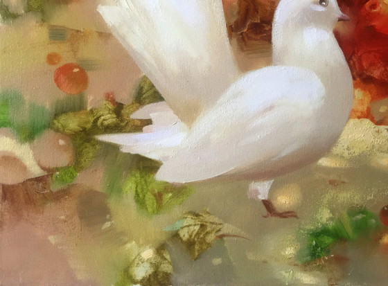 Image 1 of Pigeons