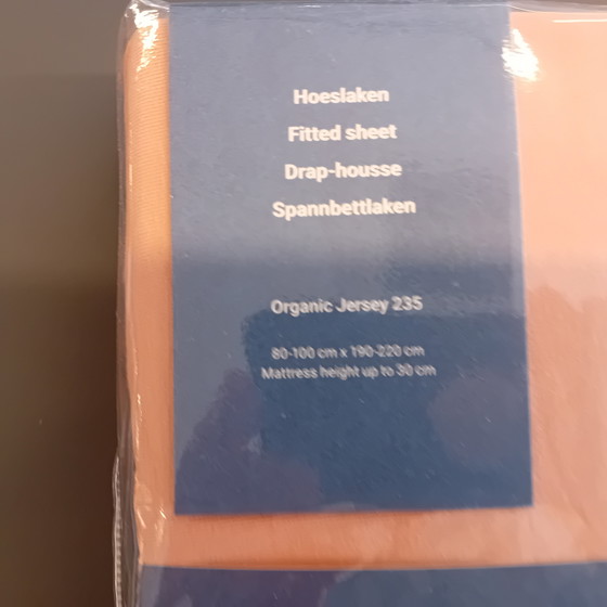 Image 1 of Lenzuolo con angoli in jersey 235 blush 90x200/210