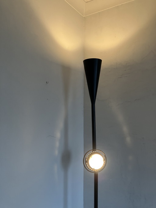 Polyphemus Angelo Lelli