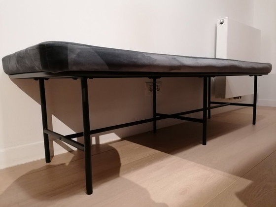 Image 1 of Dottore della Banc House