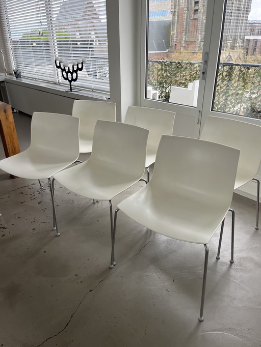 6x Arper Catifa 53 Chairs
