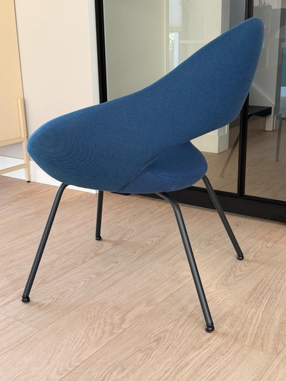 Image 1 of 4 beautiful Artifort Shark dining chairs!