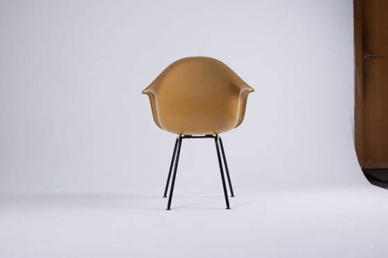 Image 1 of DAX Eames en fibre de verre – Light Ocre – Herman Miller / Vitra – circa 1965-1975