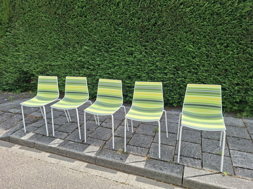 5 Gaber Colorfive garden chairs dining chairs