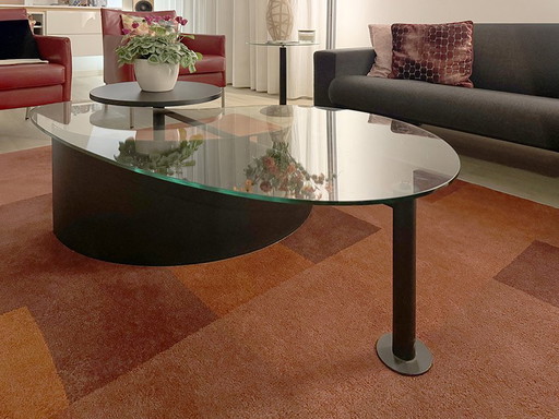 Coffee Table Organic Shape with Glass Plate