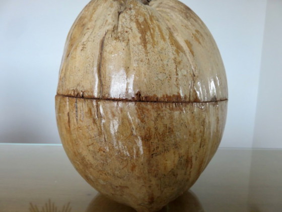 Image 1 of Large ice bucket, ice cube tray, 1970s. Vintage coconut ice bucket