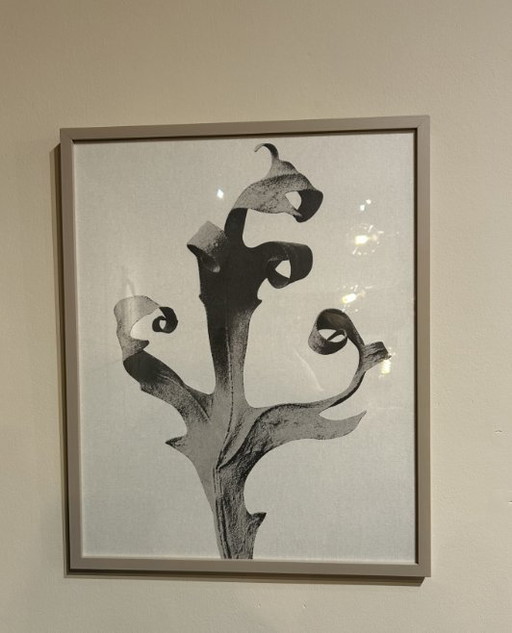 Boconcept - Galerie Delphinium