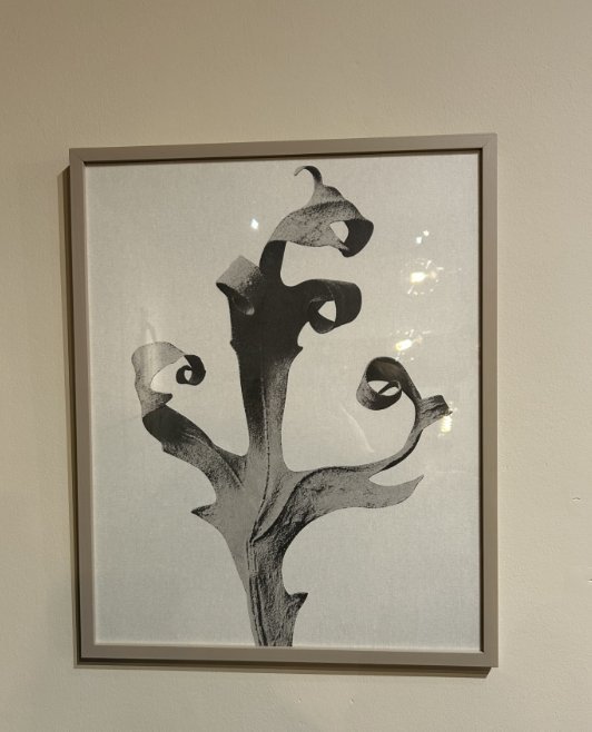 Image 1 of Boconcept - Delphinium Galerie