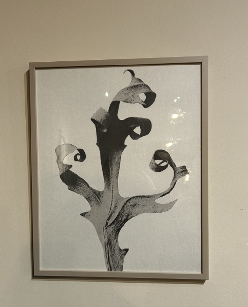 Boconcept - Delphinium Galerij
