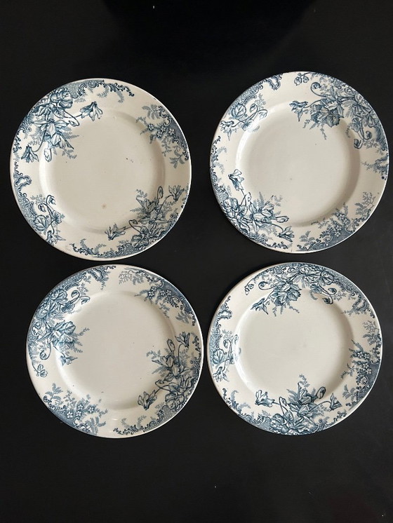 Image 1 of 13 Louis Graves Terre de Fer dinner plates