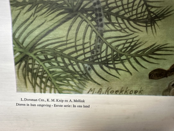 Carte scolaire en lin vintage - Dans le fossé et l'étang (M.A. Koekkoek) – Wolters, Décorations murales, Wood (photo 2 of 12)