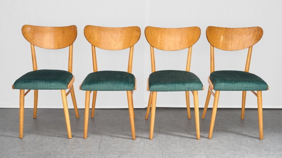 Set of 4 Dining Chairs, Jitona, 1960s, Czechoslovakia, Textile, Wood, Beige (photo 2 of 15)