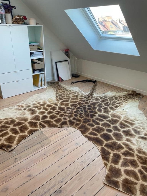 Oude Giraffenhuid Met Staart