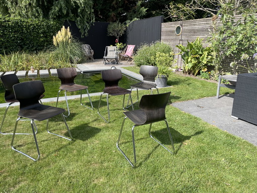 Pagholz flötotto stapelstoel vintage 6 stuks