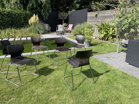 Image 1 of Sedia impilabile Pagholz flötotto vintage 6 pezzi