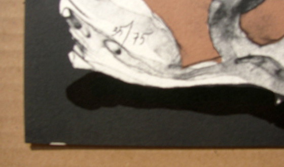 Image 1 of Arte spagnola di punta: Eduardo ARRANZ BRAVO