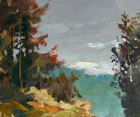 Image 1 of Original Oil Painting Gloomy Forest Landscape A river washes through the autumn forest