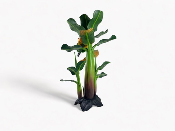 Image 1 of Pianta di banane in legno botanico vintage