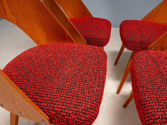 Image 1 of Chaises de salle à manger Antonín Šuman, Tatra Nábytok, Tchécoslovaquie 1960