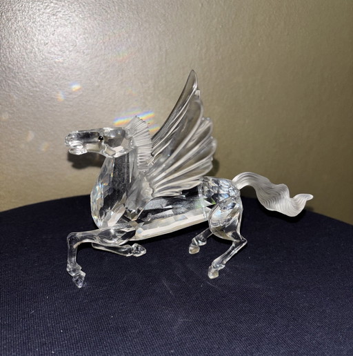 Bundle ad oyster, pierrot and pegasus