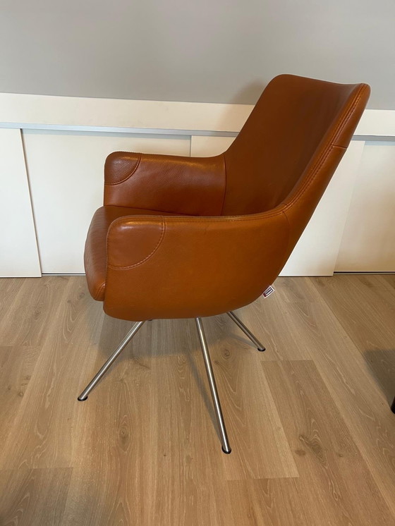 Image 1 of Movani Gealux Miami