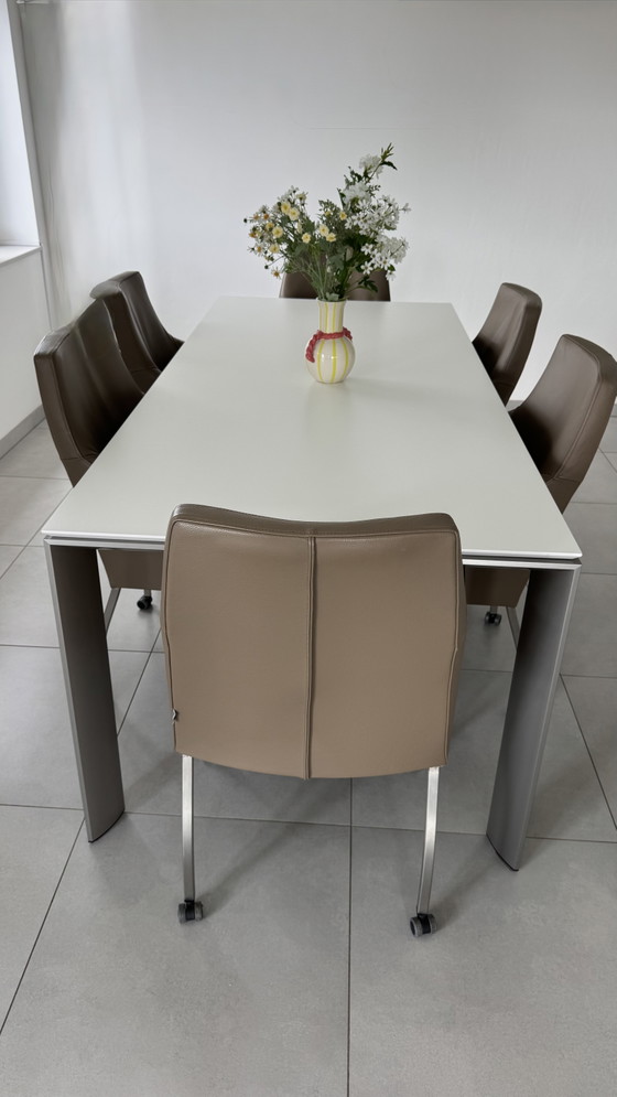 6 Sedie da pranzo di Brees New World – Bree's New World, Leather (photo 7 of 8)