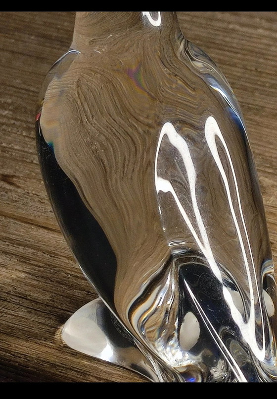 Image 1 of Perruche Baccarat